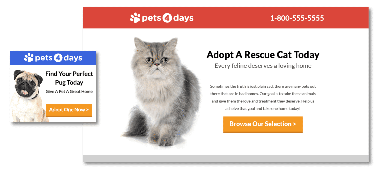 Pets 4 Days - Cat - Call to Action - Disruptive Advertising