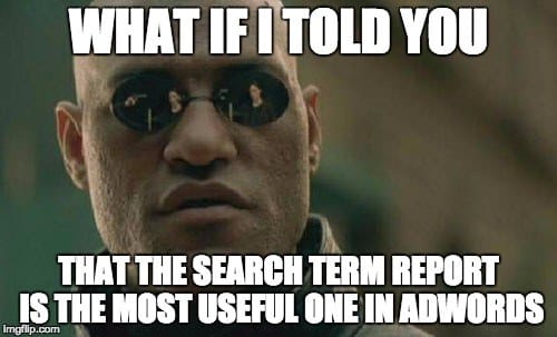 search term report