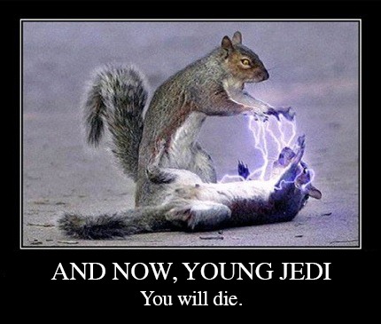 sidious-squirrel