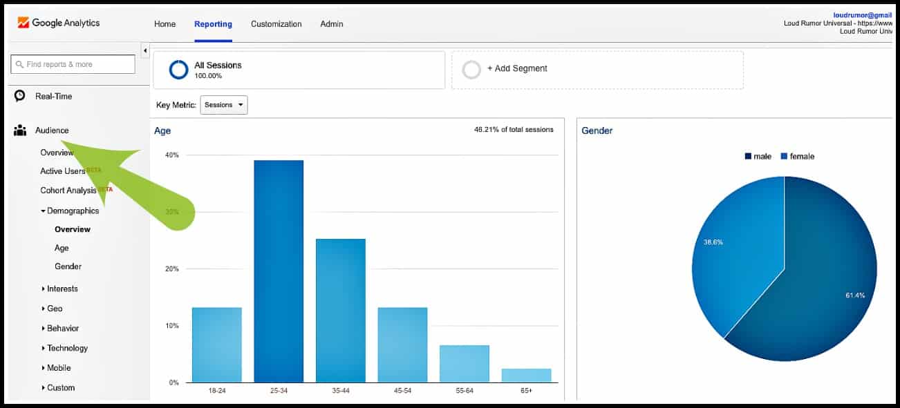 Google Analytics Audiences