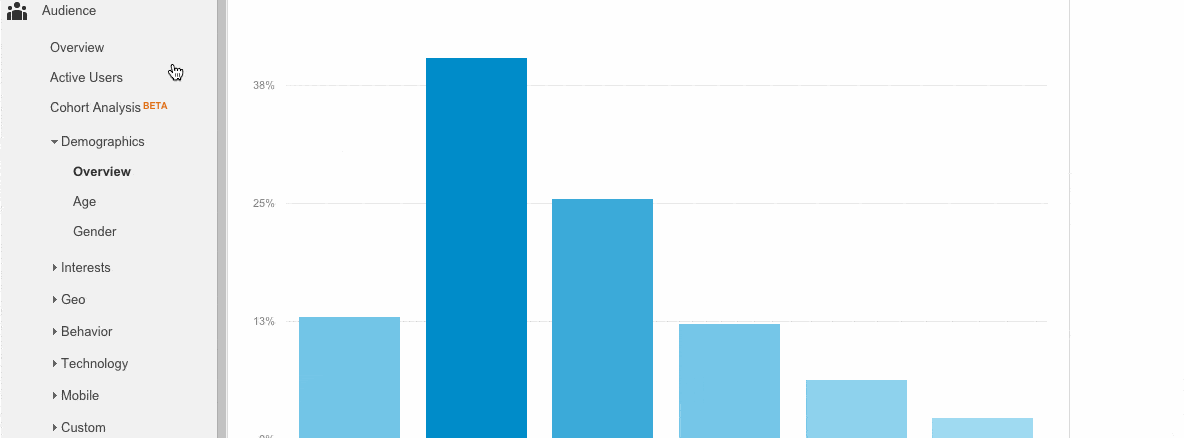 Google Analytics Audience Overview | Disruptive Advertising