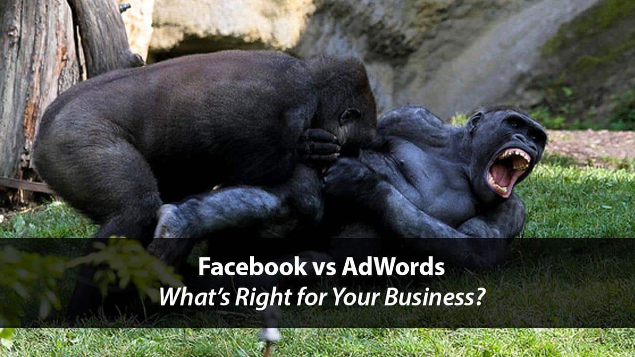 Facebook vs. AdWords: What's Right for Your Business? | Disruptive Advertising