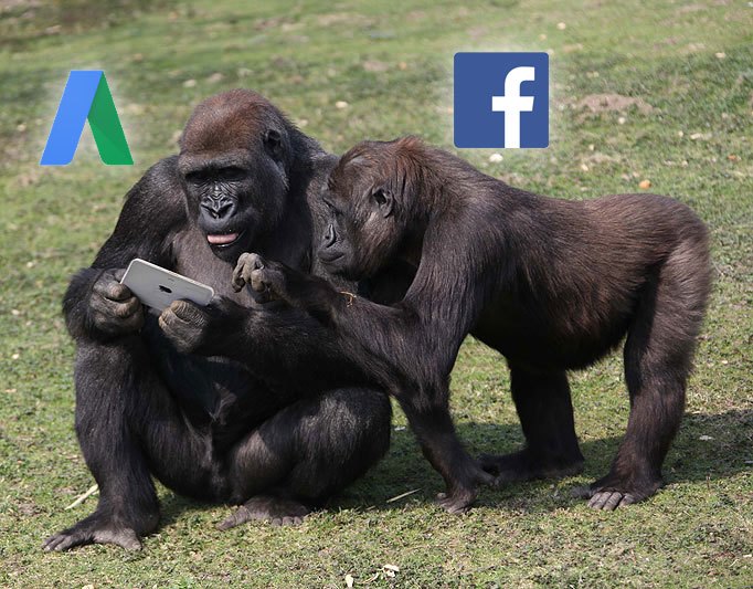 AdWords vs Facebook – the Two PPC Gorillas in the Room | Disruptive Advertising