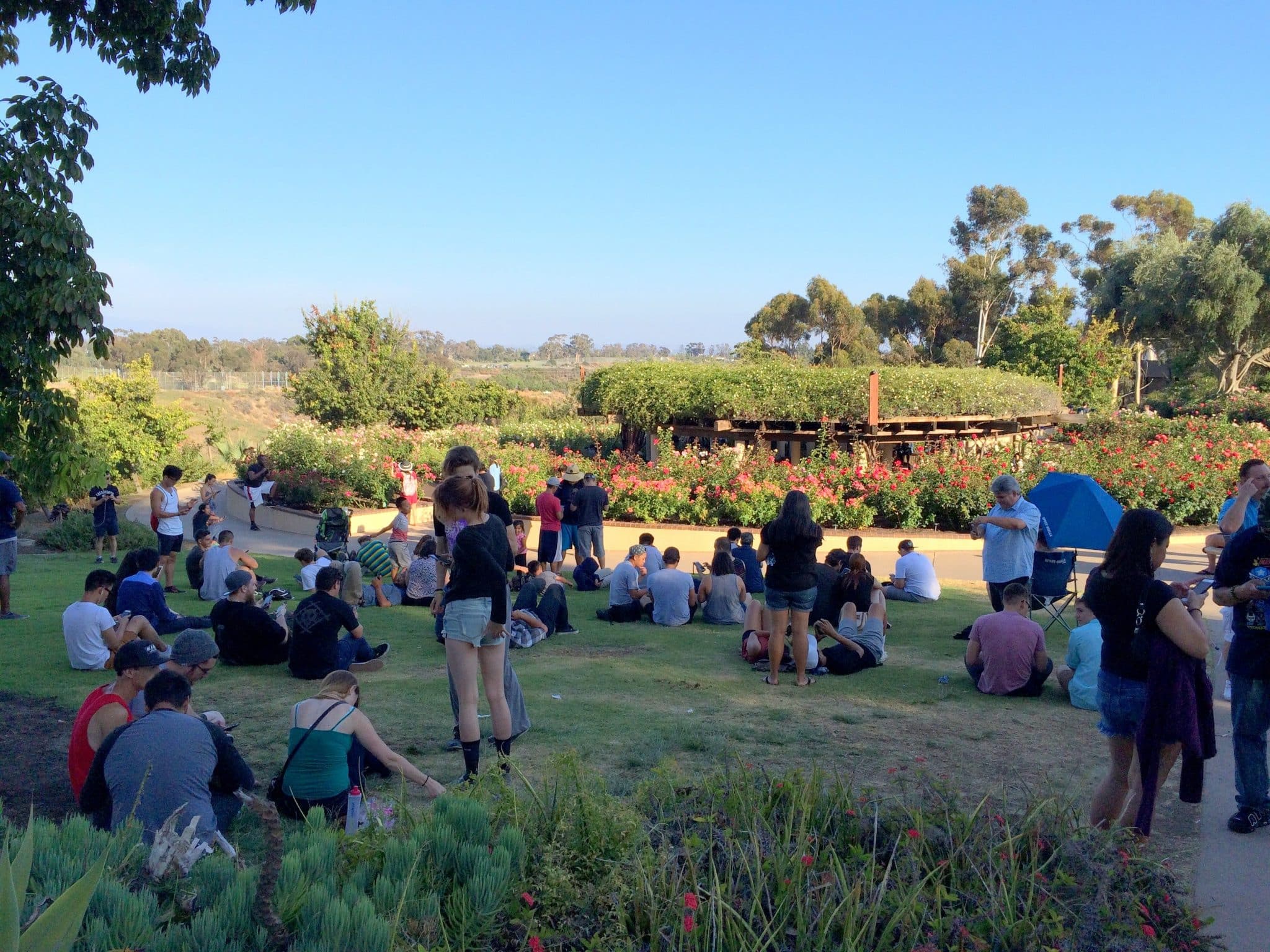 Pokemon Go in Balboa Park | Disruptive Advertising