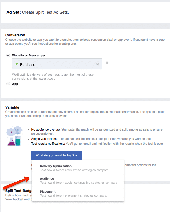 How to Split Test Facebook Ad Marketing Objectives | Disruptive Advertising