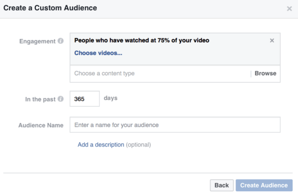 video views Facebook custom audience