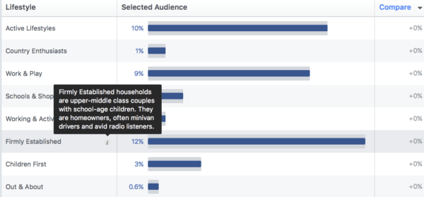 Facebook audience insights 