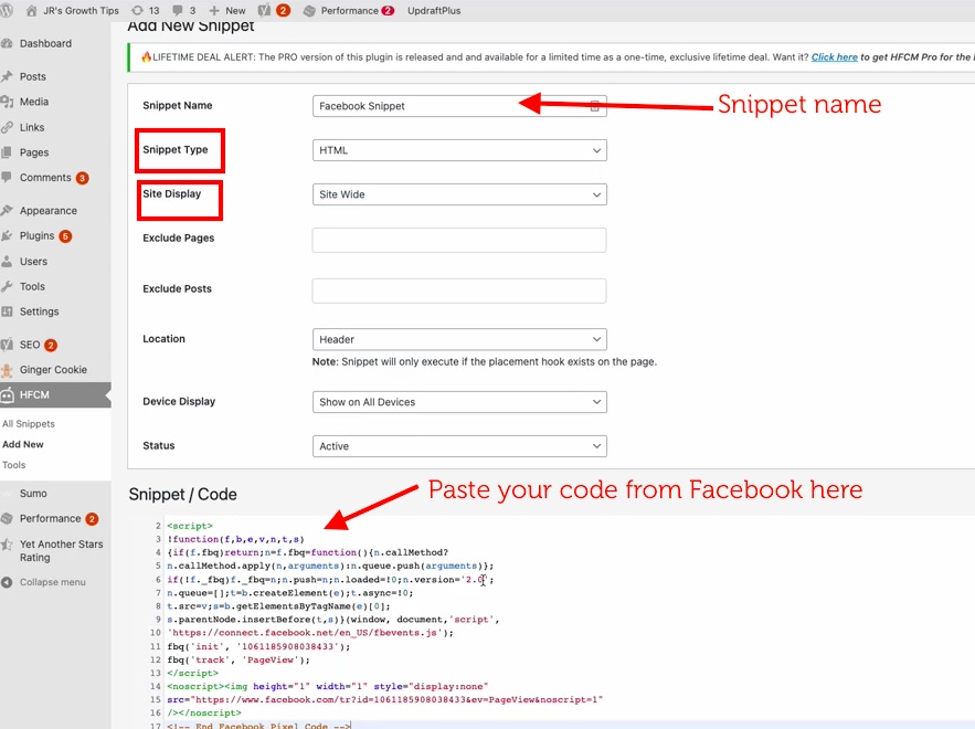 How to insert a code snippet in the HFCM plugin