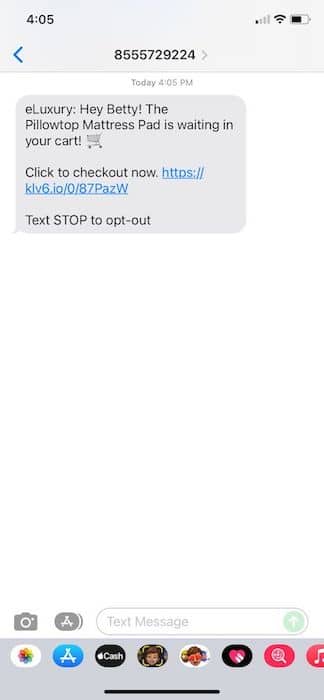 SMS text marketing example from eLuxury
