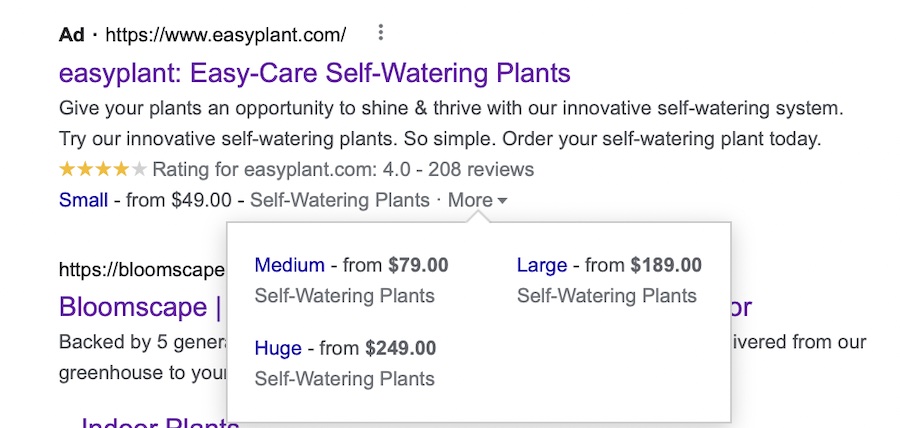 Price Google Ads asset example